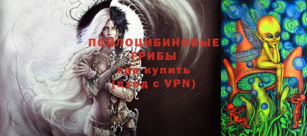 гашик Михайлов