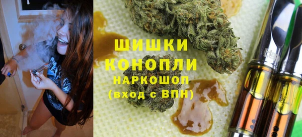 гашик Михайлов
