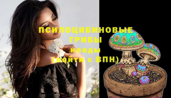 гашик Михайлов