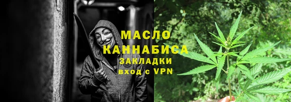 гашик Михайлов
